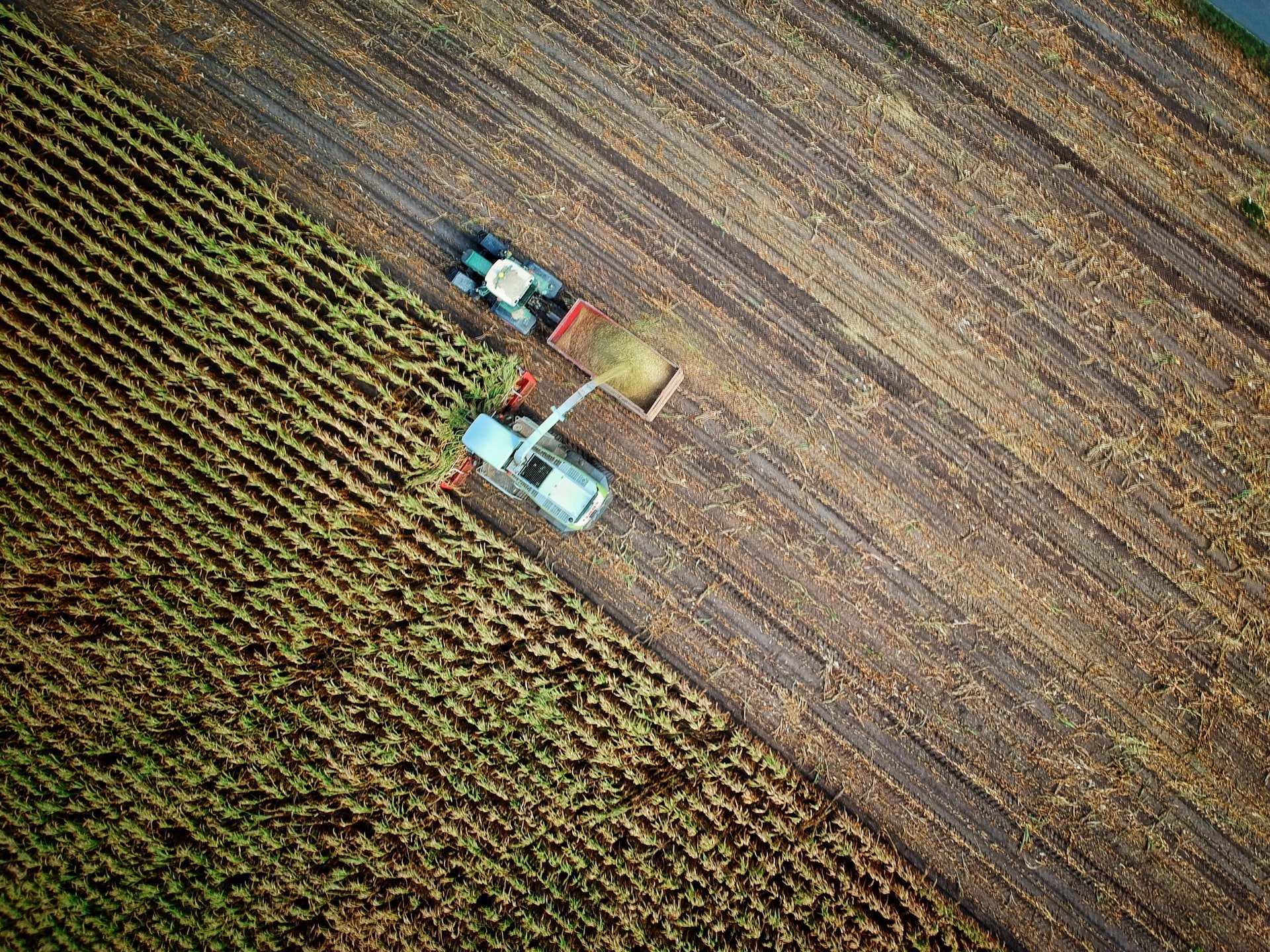 Agricultural Cycles