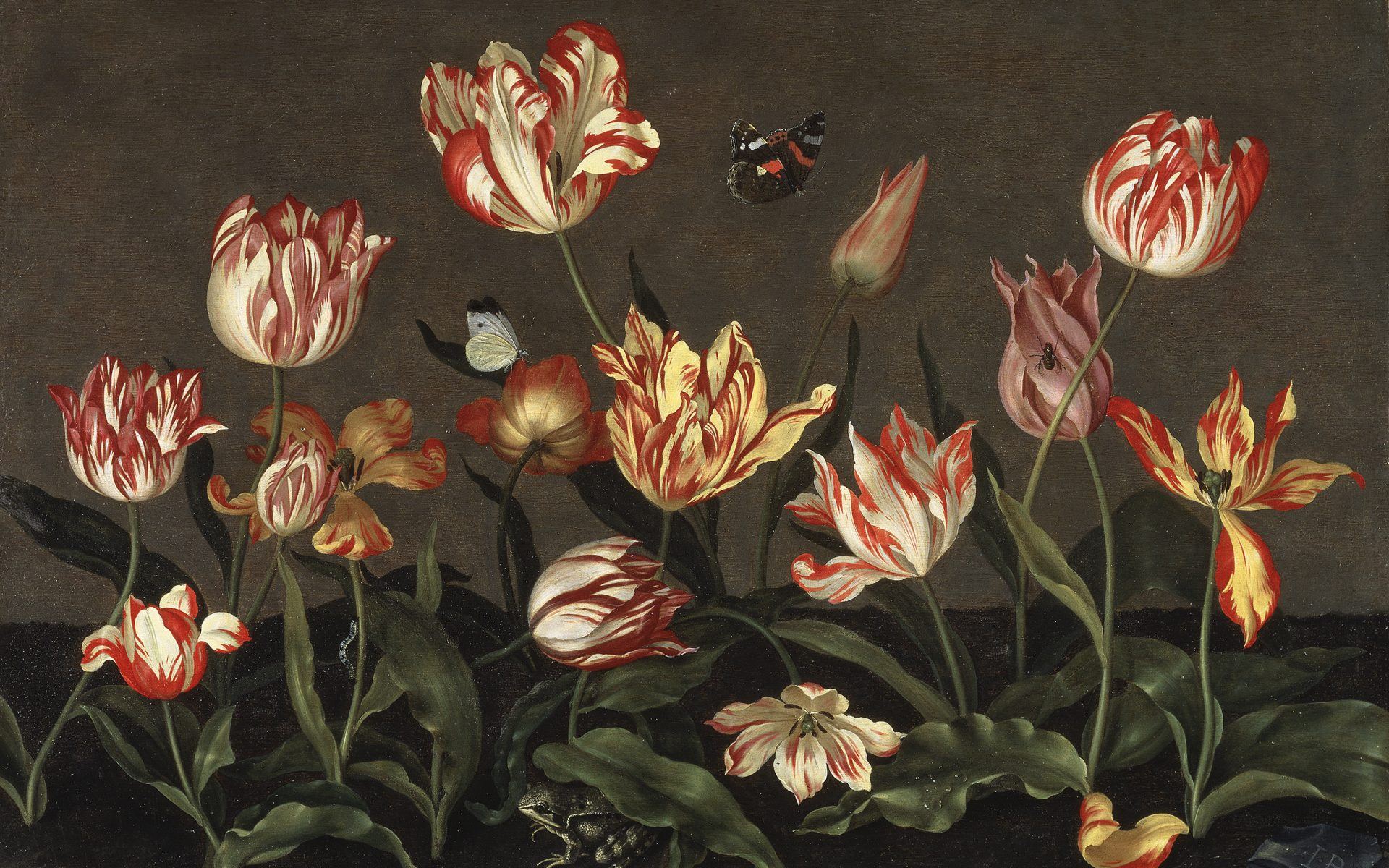 Tulips, Manias And Informational Realms